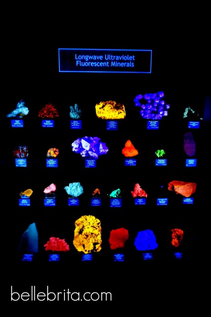 Feeling afraid of the dark even while admiring luminescent rocks in a geology #museum in #Colorado