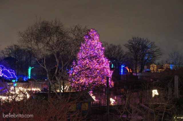 Pink Christmas tree at the Toledo Zoo