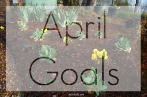 Once again, I'm looking back on what I accomplished last month and looking forward to my goals for this month!