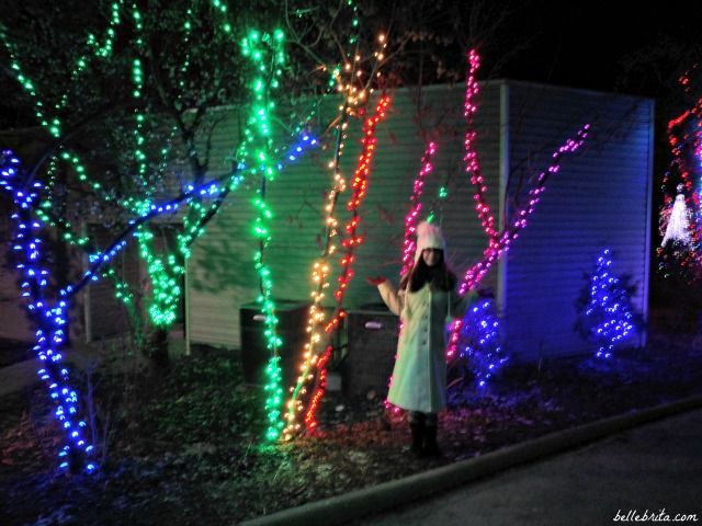 Three of Ohio's zoos celebrate the holiday season with thousands of brilliant lights. Read about more ways to celebrate the holidays in Ohio. | Belle Brita