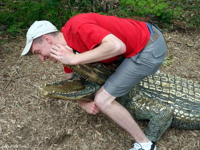 Wrestling gators at the Cincinnati Zoo! | Belle Brita