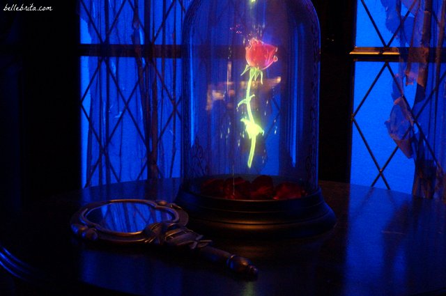 Beast's enchanted rose at Be Our Guest restaurant | Belle Brita