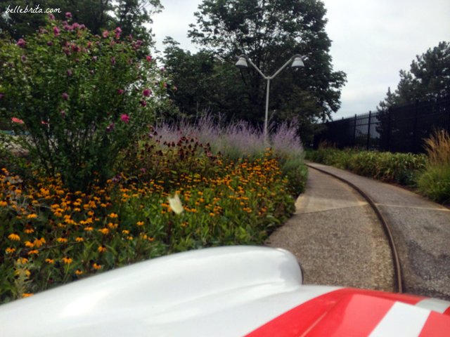 Cedar Point's Antique Cars are a family favorite. Keep reading for more ideas on fun for all ages at Cedar Point!