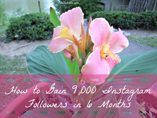 How to gain 9,000 Instagram followers in 6 months (or less!) | Belle Brita