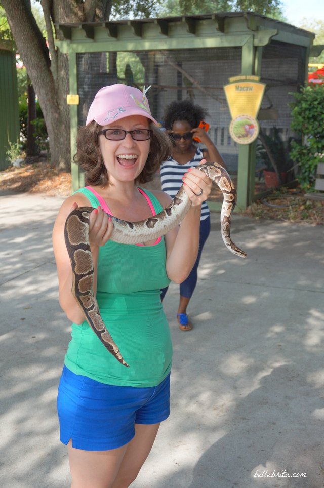 Holding a snake in Wild Adventures in Valdosta, GA! | Belle Brita