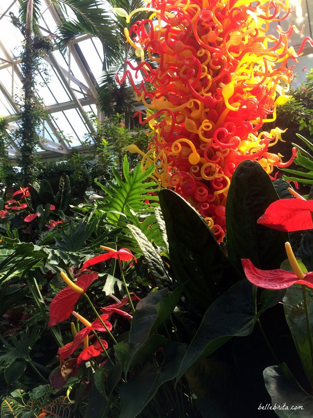 Chihuly at Franklin Park Conservatory | Belle Brita