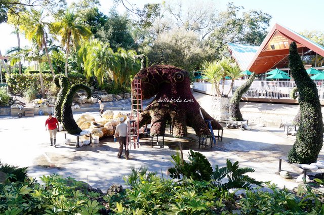 I loved watching the gardeners build this magnificent topiary at Busch Gardens Tampa Bay | Belle Brita