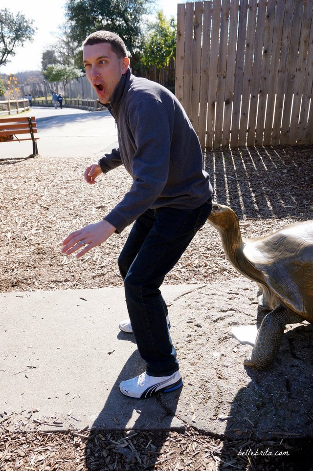 My husband and I greatly enjoyed taking pictures with the bronze statues at the Dallas Zoo! | Belle Brita