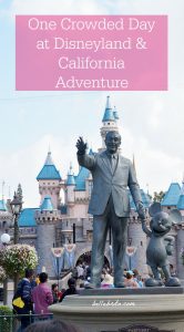 Even on a crowded Saturday in May, Disneyland and California Adventure are a fun destination for all ages. These tips explain how my husband and I prioritized attractions, optimized our FastPasses, chose the best food, and more for a busy day of Disney magic! | Belle Brita