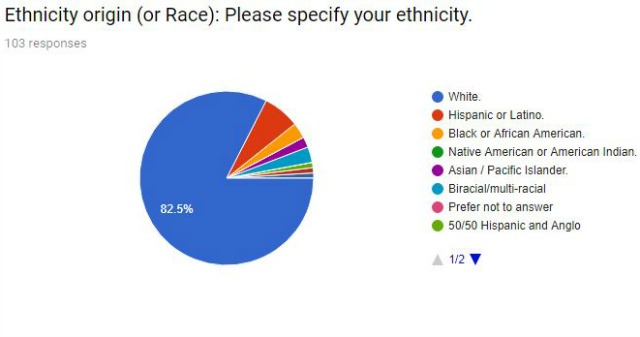 Race/ethnicity of respondents in a survey determining if one-on-one meetings in informal settings can help careers. | Belle Brita