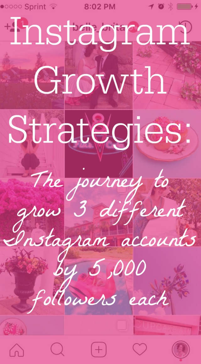 Which Instagram growth strategies work? Follow along as I build 3 separate Instagram accounts by 5,000 followers each. | Belle Brita