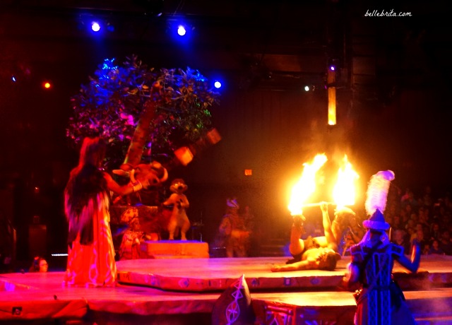 Who doesn't appreciate a good fire show? The Festival of the Lion King was AMAZING! | Belle Brita