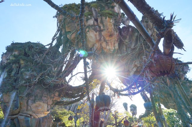 Visiting Pandora in Animal Kingdom truly feels like visiting another planet. It's surreal! | Belle Brita