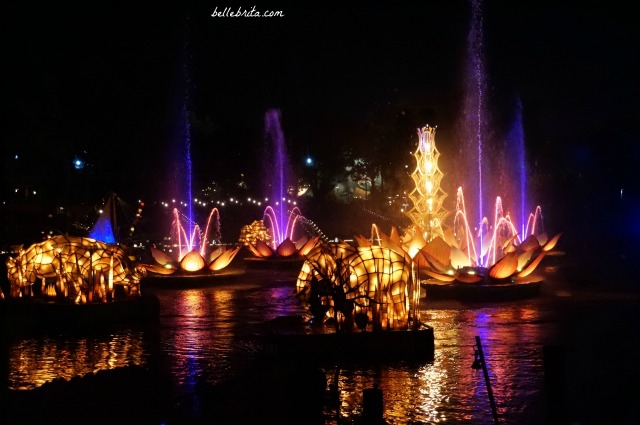 Animal Kingdom's evening show is spectacular! Rivers of Light was so beautiful. | Belle Brita
