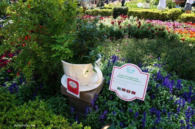 During the 2018 Flowers and Garden Festival, I loved discovering this darling tea garden in EPCOT's United Kingdom. | Belle Brita