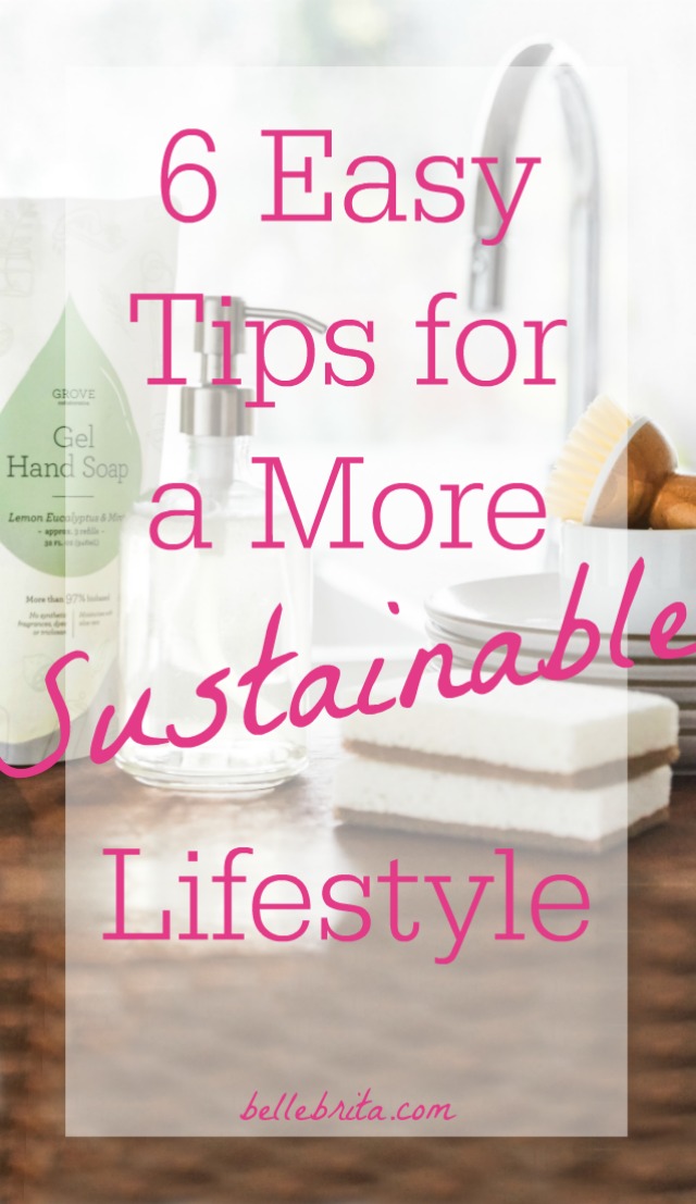 Save the planet by making one or more of these simple sustainable changes in your life! | Belle Brita