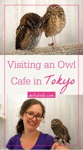 Two images with owls. Text overlay reads: "Visiting an Owl Cafe in Tokyo"