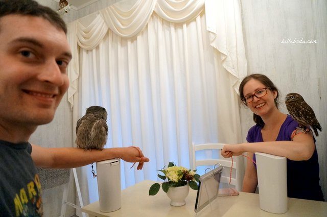 Man and woman holding owls in Akiba Fukurou Owl Cafe