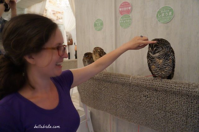 Woman petting an owl in Akiba Fukurou Owl Cafe