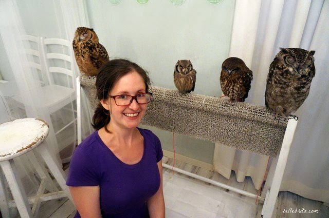 Woman with four owls in Akiba Fukurou Owl Cafe