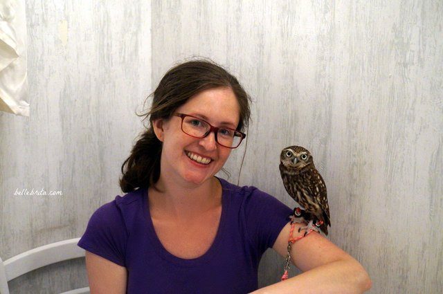 Woman with an owl on her arm in Akiba Fukurou Owl Cafe