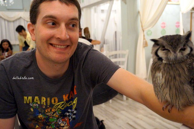 Man holding owl in Akiba Fukurou Owl Cafe