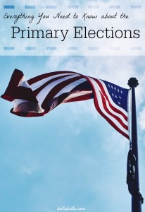 Why should you vote in the 2016 presidential primary elections? For so many reasons! | Belle Brita