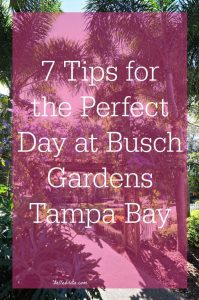 Follow these tips to make the most of your Busch Gardens Tampa Bay vacation! Pin now, read later | Belle Brita